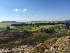 Kakadu,paesaggio